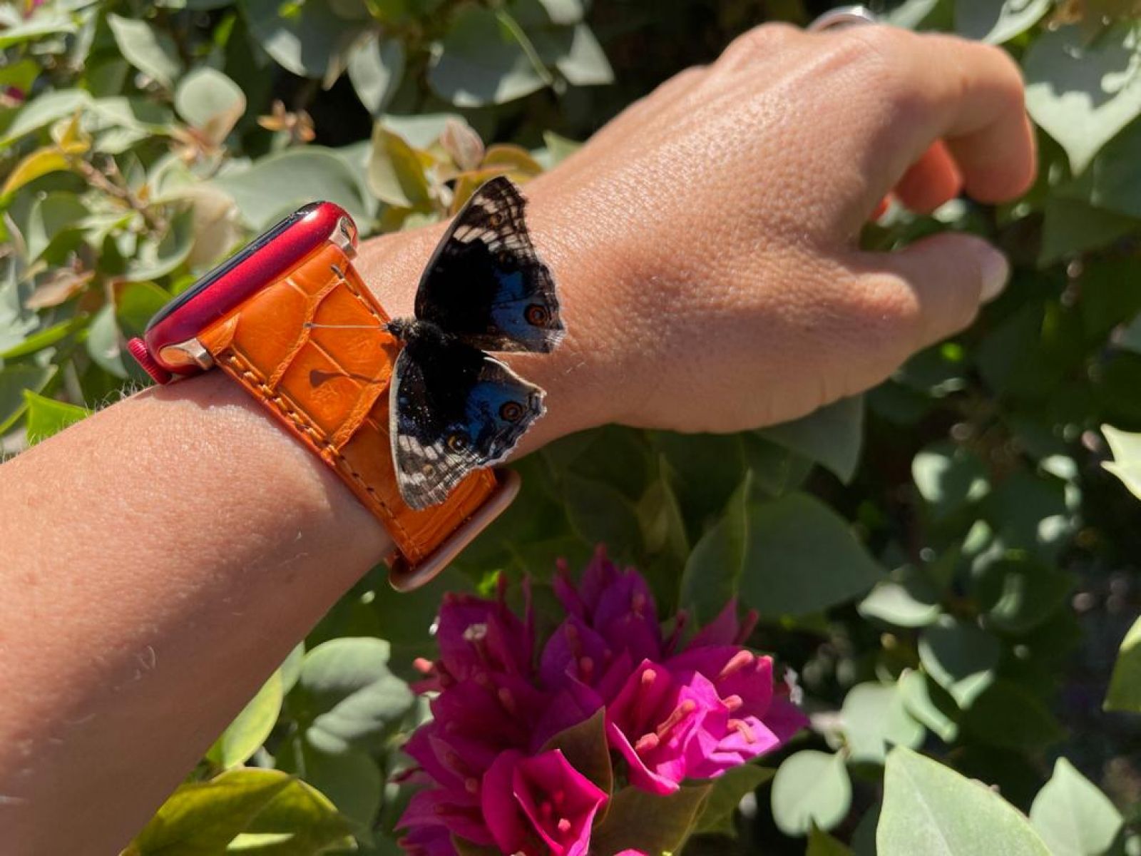 Orange Matte strap for Apple Watch (Apple Watch All Series)